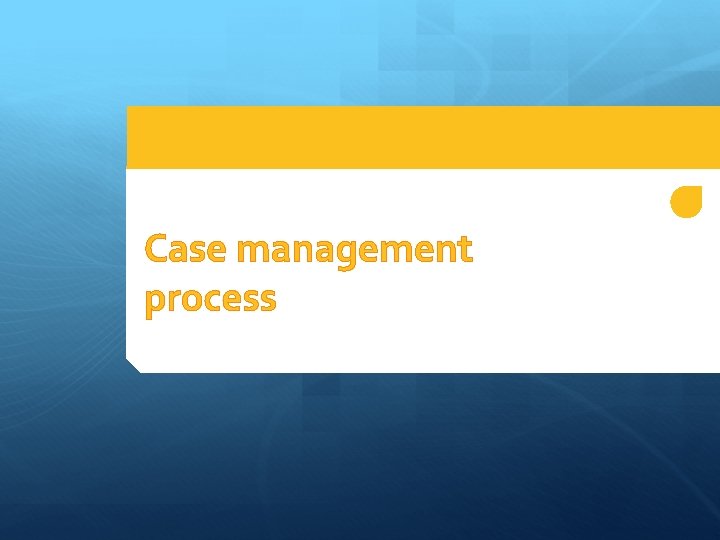 Case management process 