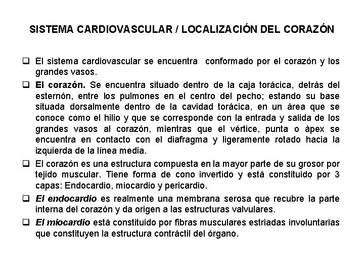 SISTEMA CARDIOVASCULAR / LOCALIZACIÓN DEL CORAZÓN q El sistema cardiovascular se encuentra conformado por