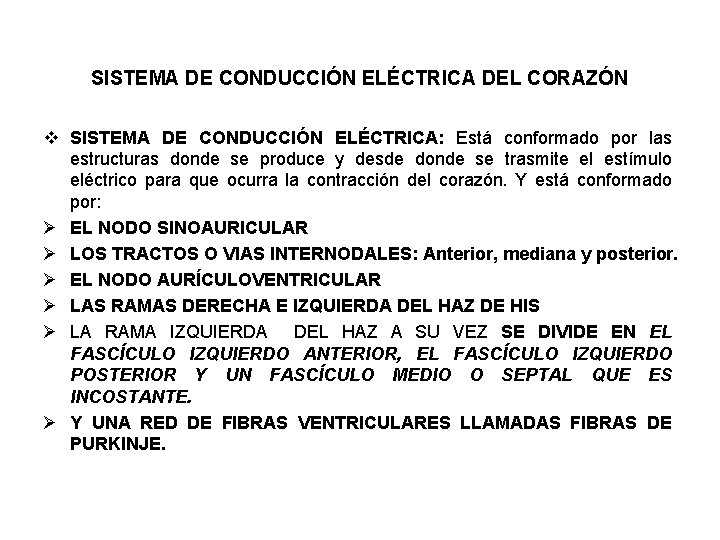 SISTEMA DE CONDUCCIÓN ELÉCTRICA DEL CORAZÓN v SISTEMA DE CONDUCCIÓN ELÉCTRICA: Está conformado por