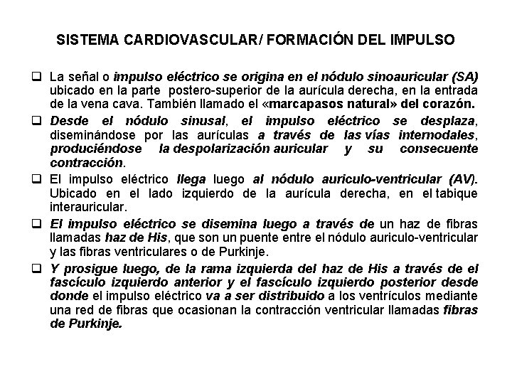 SISTEMA CARDIOVASCULAR/ FORMACIÓN DEL IMPULSO q La señal o impulso eléctrico se origina en