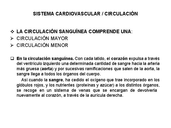 SISTEMA CARDIOVASCULAR / CIRCULACIÓN v LA CIRCULACIÓN SANGUÍNEA COMPRENDE UNA: Ø CIRCULACIÓN MAYOR Ø