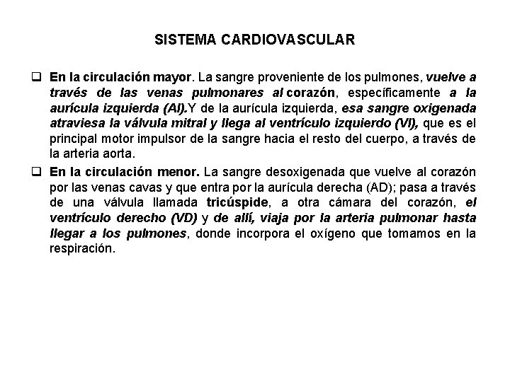 SISTEMA CARDIOVASCULAR q En la circulación mayor. La sangre proveniente de los pulmones, vuelve
