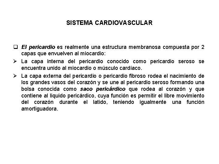 SISTEMA CARDIOVASCULAR q El pericardio es realmente una estructura membranosa compuesta por 2 capas