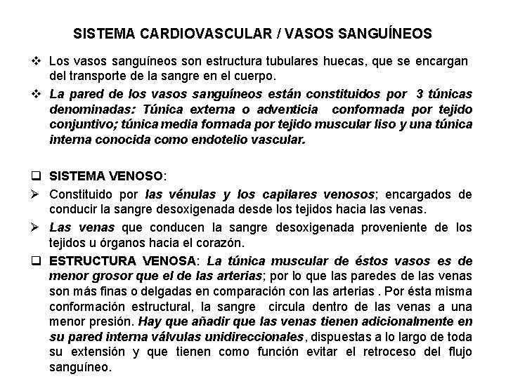 SISTEMA CARDIOVASCULAR / VASOS SANGUÍNEOS v Los vasos sanguíneos son estructura tubulares huecas, que