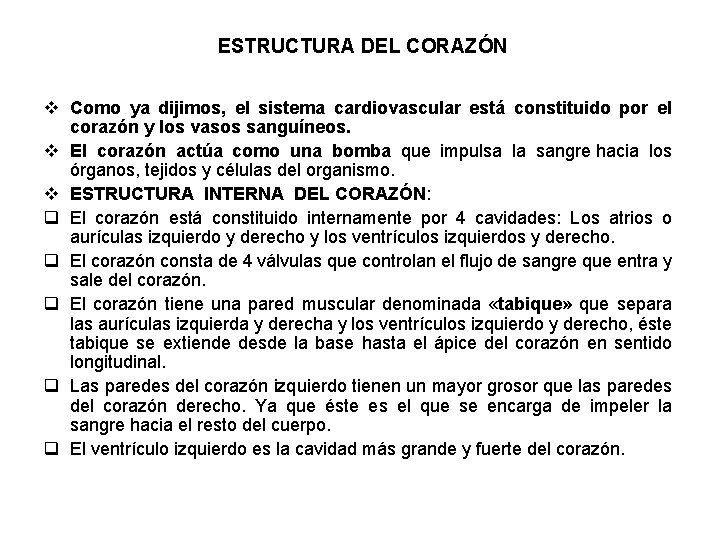 ESTRUCTURA DEL CORAZÓN v Como ya dijimos, el sistema cardiovascular está constituido por el