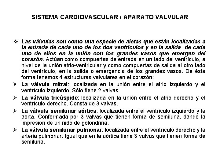 SISTEMA CARDIOVASCULAR / APARATO VALVULAR v Las válvulas son como una especie de aletas