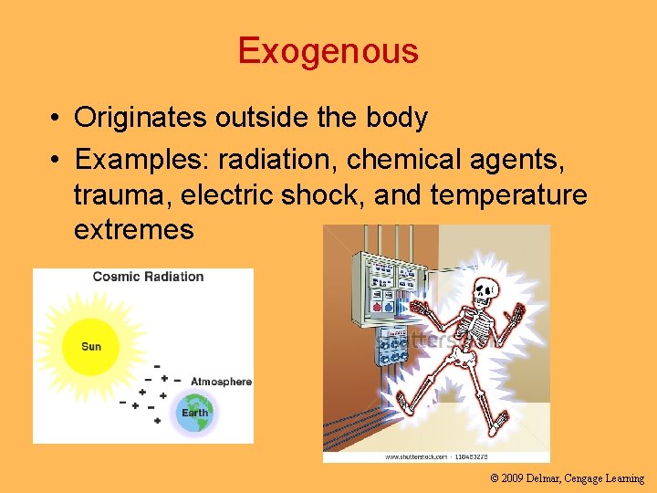 Exogenous • Originates outside the body • Examples: radiation, chemical agents, trauma, electric shock,