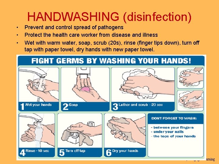 HANDWASHING (disinfection) • • • Prevent and control spread of pathogens Protect the health