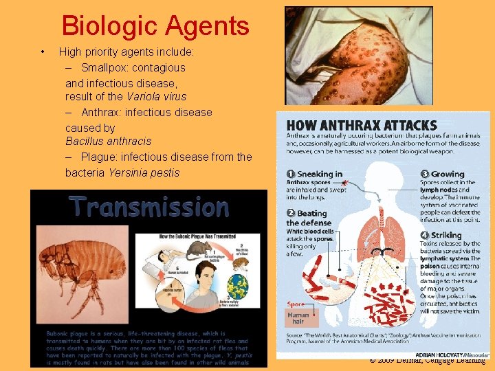 Biologic Agents • High priority agents include: – Smallpox: contagious and infectious disease, result