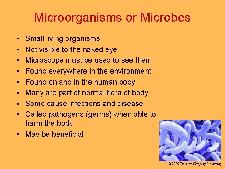 Microorganisms or Microbes • • Small living organisms Not visible to the naked eye