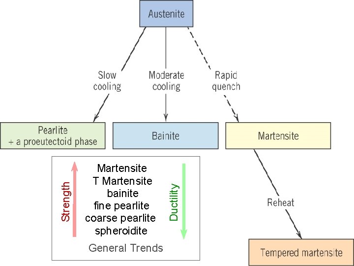 Ductility Strength Martensite T Martensite bainite fine pearlite coarse pearlite spheroidite General Trends Powerpoint