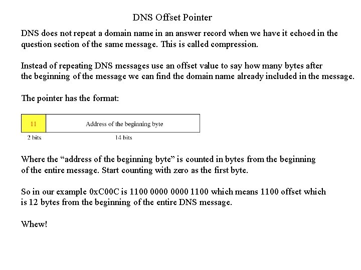 DNS Offset Pointer DNS does not repeat a domain name in an answer record