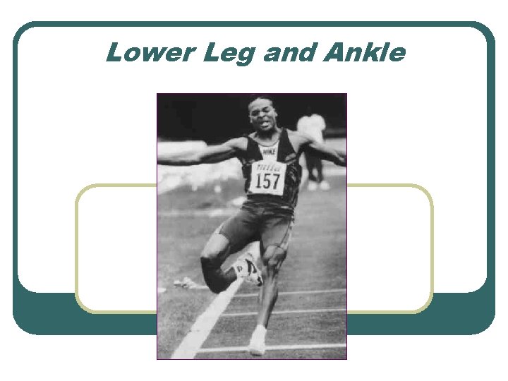 Lower Leg and Ankle Lower Leg and Ankle
