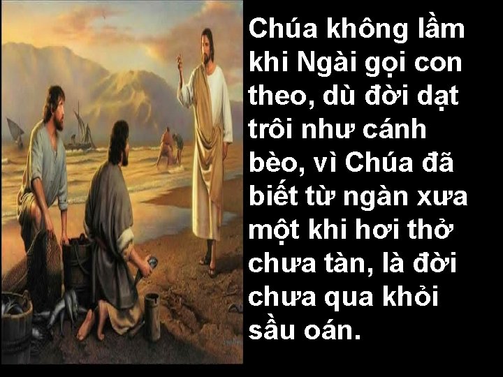 Chúa không lầm khi Ngài gọi con theo, dù đời dạt trôi như cánh