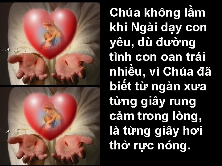 Chúa không lầm khi Ngài dạy con yêu, dù đường tình con oan trái