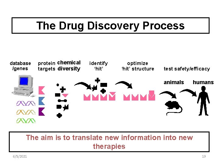 The Drug Discovery Process database /genes protein chemical targets diversity identify ‘hit’ optimize ‘hit’