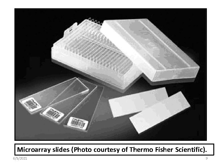 Microarray slides (Photo courtesy of Thermo Fisher Scientific). 6/5/2021 9 