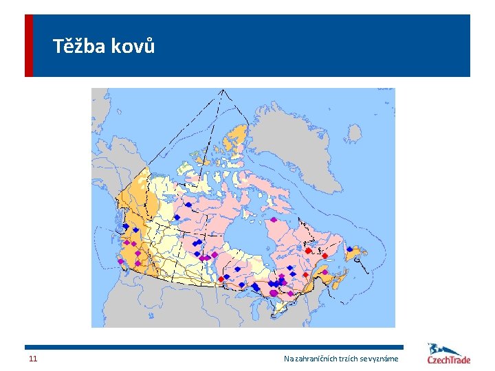 Těžba kovů 11 Na zahraničních trzích se vyznáme 
