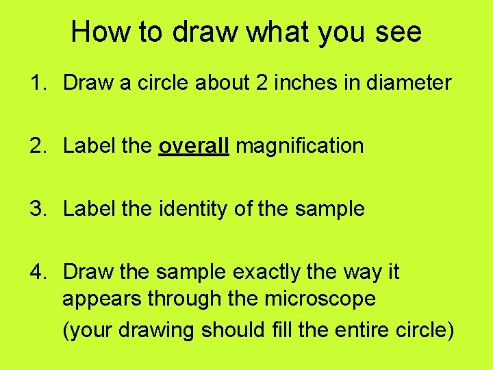 How to draw what you see 1. Draw a circle about 2 inches in