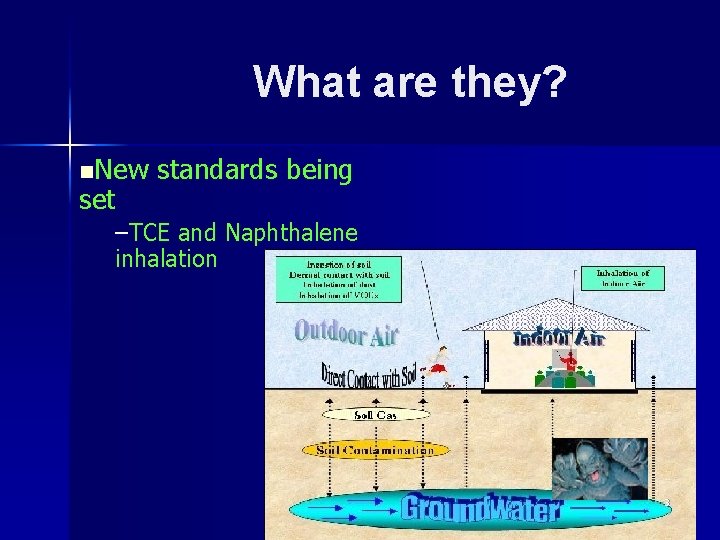What are they? n. New set standards being –TCE and Naphthalene inhalation 3 