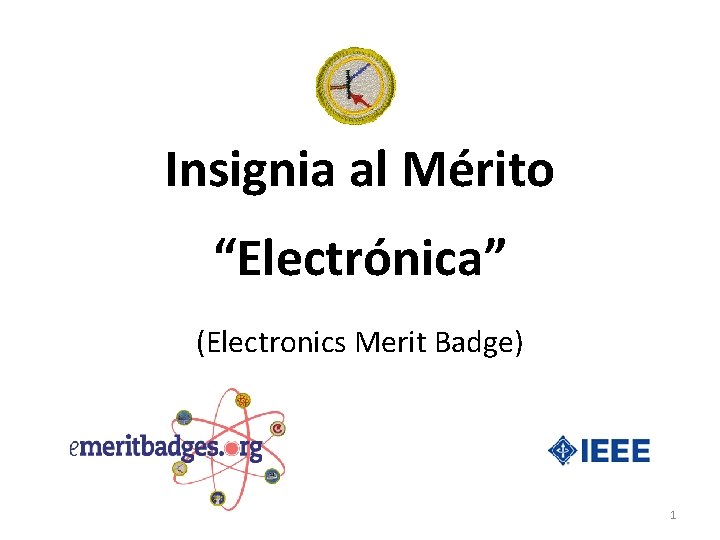 Insignia al Mérito “Electrónica” (Electronics Merit Badge) 1 