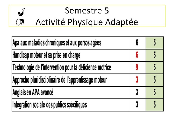 Semestre 5 Activité Physique Adaptée 