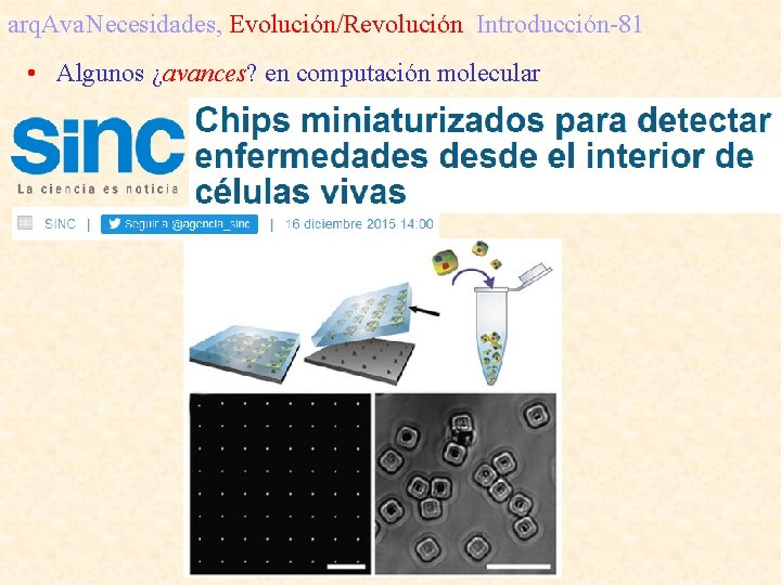 arq. Ava. Necesidades, Evolución/Revolución Introducción-81 • Algunos ¿avances? en computación molecular CSIC 