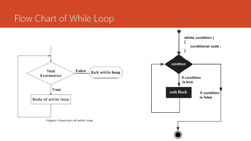 Flow Chart of While Loop 