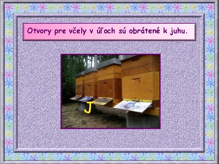 Otvory pre včely v úľoch sú obrátené k juhu. J 