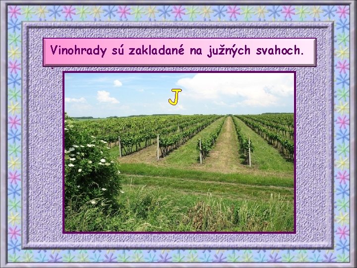 Vinohrady sú zakladané na južných svahoch. . J 