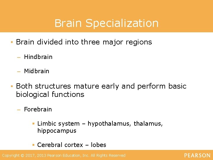 Brain Specialization • Brain divided into three major regions – Hindbrain – Midbrain •