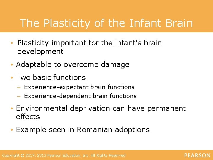 The Plasticity of the Infant Brain • Plasticity important for the infant’s brain development