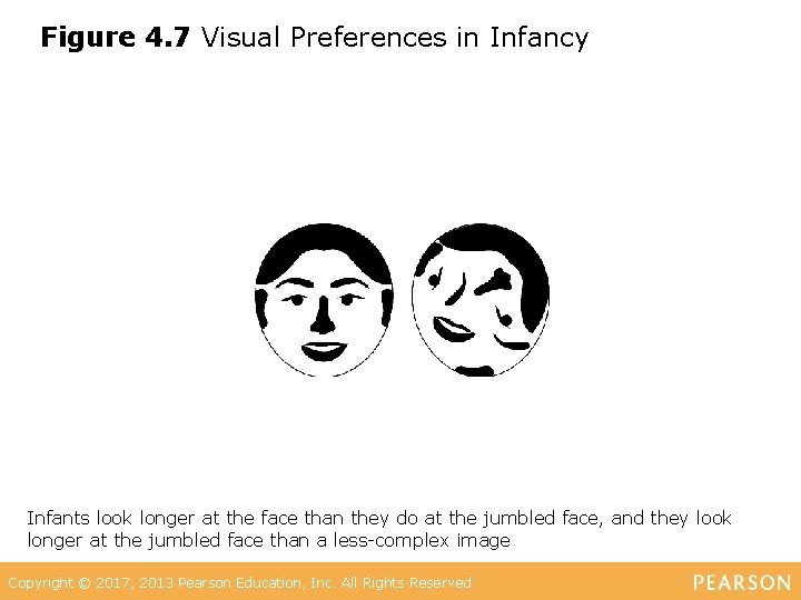 Figure 4. 7 Visual Preferences in Infancy Infants look longer at the face than