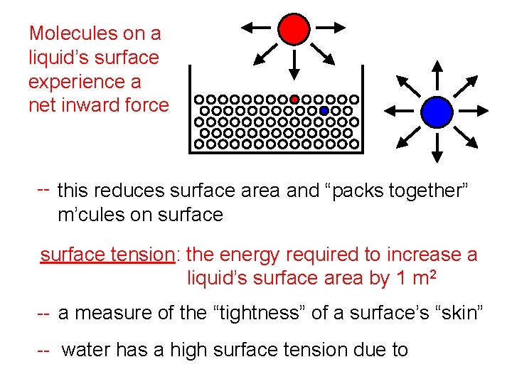 Molecules on a liquid’s surface experience a net inward force -- this reduces surface