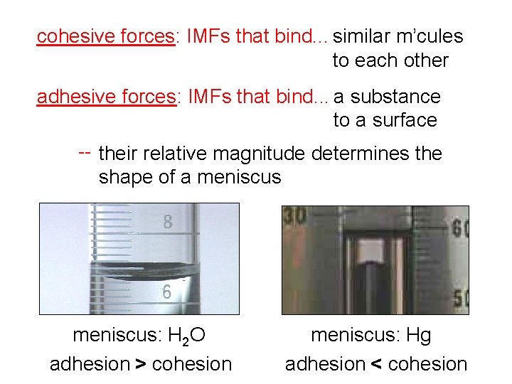 cohesive forces: IMFs that bind. . . similar m’cules to each other adhesive forces: