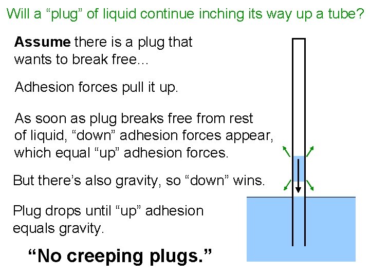 Will a “plug” of liquid continue inching its way up a tube? Assume there