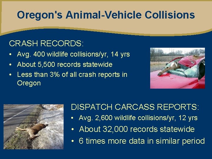 Oregon's Animal-Vehicle Collisions CRASH RECORDS: • Avg. 400 wildlife collisions/yr, 14 yrs • About