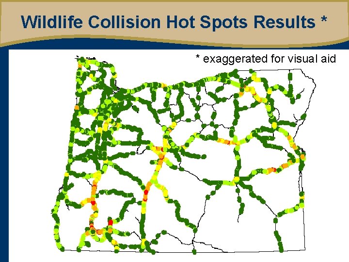 Wildlife Collision Hot Spots Results * * exaggerated for visual aid 