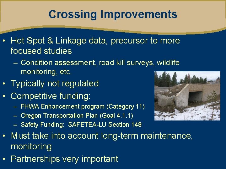 Crossing Improvements • Hot Spot & Linkage data, precursor to more focused studies –