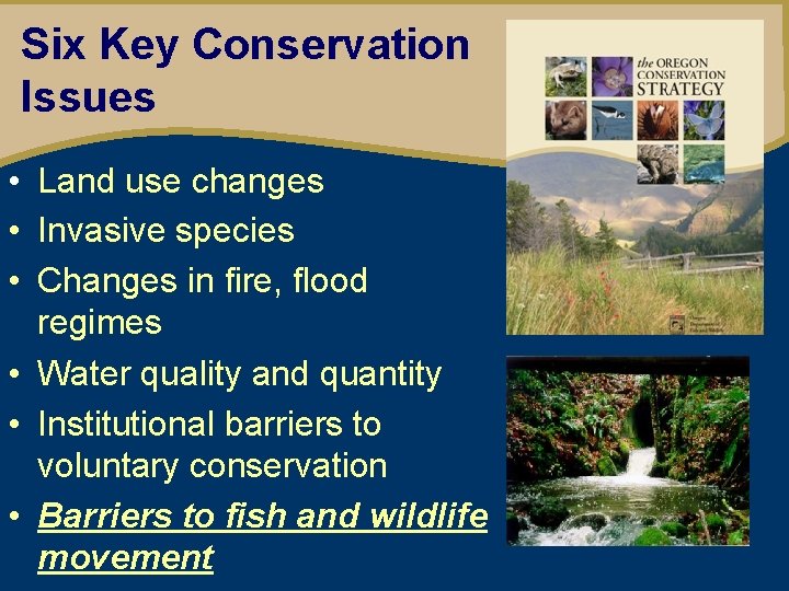 Six Key Conservation Issues • Land use changes • Invasive species • Changes in