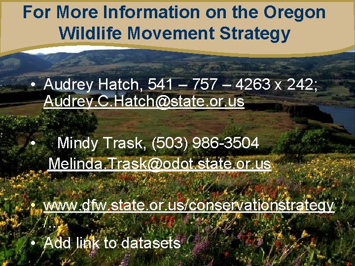 For More Information on the Oregon Wildlife Movement Strategy • Audrey Hatch, 541 –