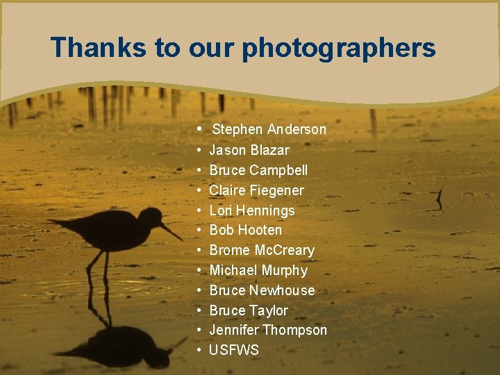 Thanks to our photographers • Stephen Anderson • • • Jason Blazar Bruce Campbell