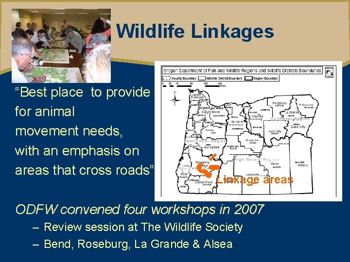 Wildlife Linkages Oregon Wildlife Movement Strategy “Best place to provide for animal movement needs,