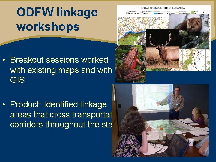 ODFW linkage workshops Oregon Wildlife Movement Strategy • Breakout sessions worked with existing maps