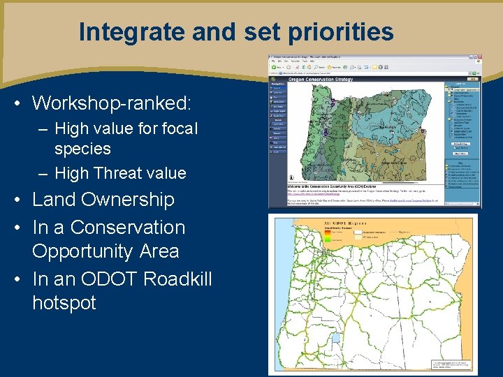 Integrate and set priorities • Workshop-ranked: – High value for focal species – High