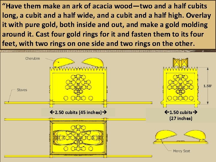 “Have them make an ark of acacia wood—two and a half cubits long, a