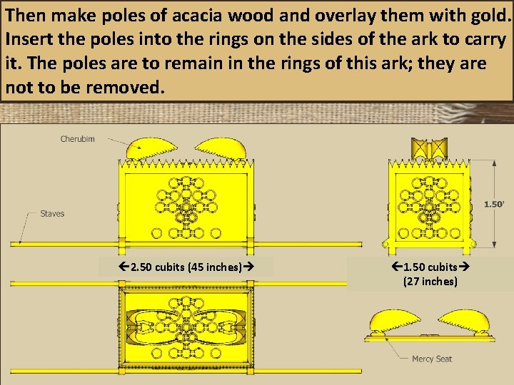 Then make poles of acacia wood and overlay them with gold. Insert the poles