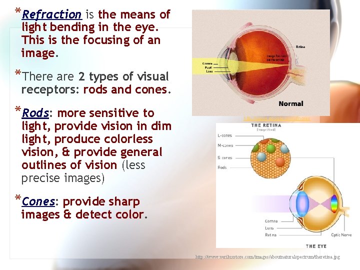 *Refraction is the means of light bending in the eye. This is the focusing