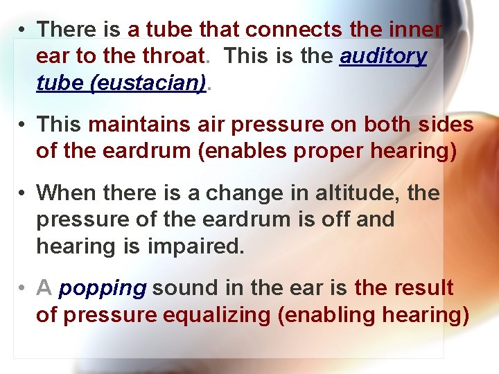  • There is a tube that connects the inner ear to the throat.