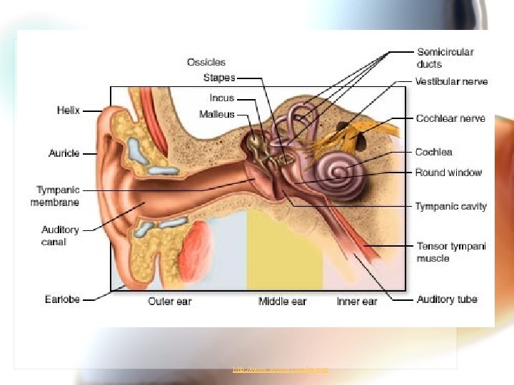 http: //www. google. com/imgres 